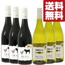 【送料無料!】【レストラン採用ワイン!】 飲食店様からもご注文多数!コスパ最強のフランス産 赤&白ワイン 750ml×6本セット(北海道・沖縄は送料+990円)