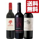 【送料無料・ワイン 飲み比べセット】当店厳選!果実味豊かで飲み応え十分なアメリカ・カリフォルニア産赤ワイン 750ml×3本セット(北海道・沖縄は送料+990円...