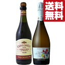 【送料無料・ワイン 飲み比べセット】甘口で飲みやすく気軽にゴクゴク楽しめるスパークリングワイン 泡赤&泡白 750ml×2本セット(北海道・沖縄は送料+990円...