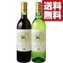【送料無料・ワイン 飲み比べセット】和食との相性を追求し京都の一流料亭が採用する和食に合うワイン! 赤&白 720ml×2本セット(北海道・沖縄は送料+990円...