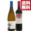 【送料無料・ワイン 飲み比べセット】高品質のスペインワイン!葡萄の果実味を口の中でたっぷり楽しめる!赤&白 750ml×2本セット(北海道・沖縄は送料+990円...