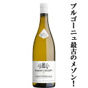 【ブルゴーニュ最高峰と名高い偉大なる白のグラン・クリュ!】 メゾン・シャンピー コルトン・シャルルマーニュ グラン・クリュ 白 辛口 2022 750ml(10...