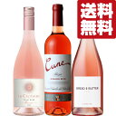 【送料無料・ワイン 飲み比べセット】 フローラルな香り&果実味溢れるフレッシュな味わいの美味しいロゼワイン 750ml×3本セット(北海道・沖縄は送料+980)