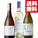 【送料無料・ワイン 飲み比べセット】 日本の女性ワインプロが審査する「サクラアワード」で受賞した白ワイン 750ml×3本セット(北海道・沖縄は送料+980)