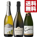 【送料無料・ワイン 飲み比べセット】気軽にワインを楽しもう!飲み心地すっきり爽やかなスパークリングワイン 750ml×3本セット(北海道・沖縄は送料+990円)