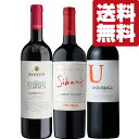 【送料無料・ワイン 飲み比べセット】 黒ブドウ品種の王様 「カベルネ・ソーヴィニヨン」濃厚な味の赤ワイン! 750ml×3本セット(北海道・沖縄は送料+990円...