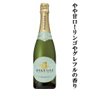 【お手頃価格!熟したリンゴやグレープフルーツを連想させる果実の香り!】 メゾン・アンジュエール ドミ・セック 泡白 やや甘口 750ml