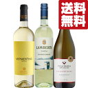 【送料無料・ワイン 飲み比べセット】トロピカルフルーツのような香り&ほんのり樽の香りを楽しめる贅沢な白ワイン 750ml×3本(北海道・沖縄は送料+990円)