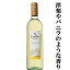 【洋梨のようなフワッと柔らかい香り!】 ガロ・ファミリー ヴィンヤード シャルドネ 白 750ml(3)(スクリューキャップ) 868円