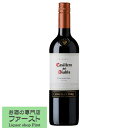 コンチャ イ トロ カッシェロ デル ディアブロ カルメネール 赤 750ml(正規輸入品)(1-99)