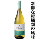 【新鮮な柑橘類の風味と白い花やメロンのような香り！】 ライマット サイラ アルバリーニョ 白 750ml(正規輸入品)(スクリューキャップ)(4)