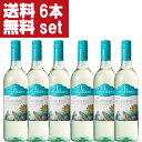 【送料無料・但し北海道、沖縄県は注文後990円追加となります】 【オーストラリア】 リンデマンズは1843年に、医者であった創設者ヘンリー・リンデマン博士によってハンター・ヴァレーに創設されました。 その後1858年に英国へ輸出を開始し、オーストラリアのサンシャインが詰まった高品質ワイン’として評判を呼びました。 親しみやすく満足感のある味わいと消費者に分かりやすいパッケージによりヨーロッパやアメリカでも高く評価されています。 英国のブランド・ファイナンス社より発表された世界で最も価値あるシャンパン＆ワインブランド2020において、リンデマンズは第6位に選ばれました。 フレッシュさを残すため熟成はステンレスにて行います。 パッションフルーツ、グレープフルーツ、グーズベリー、グアバの豊かなアロマと、フレッシュでさわやかな飲みやすい後味が特長です。 味わい：やや辛口 【注意事項】 ●『お買い物ガイド』記載の1個口で発送出来る上限を超えた場合、楽天市場のシステムの関係上、自動計算されません。 当店確認時に変更させて頂き『注文サンクスメール』にてお知らせさせて頂きます。 1個口で発送出来る上限につきましては『お買い物ガイド(規約)』をご確認下さい。 ●写真画像はイメージ画像です。商品のデザイン変更やリニューアル・度数の変更等があり商品画像・商品名の変更が遅れる場合があります。 お届けはメーカーの現行品となります。旧商品・旧ラベル等をお探しのお客様はご注文前に必ず当店までお問い合わせの上でご注文願います。詳しくは【お買い物ガイド(規約)】をご確認下さい。 ●商品画像はイメージの為、商品名とビンテージ(年度)が違う場合があります。 ●商品手配の関係上、ビンテージ(年度)が変更になる場合があります。 予めご了承願います。 ●在庫表示のある商品につきましても稀に在庫切れ・メーカー終売の場合がございます。品切れの際はご了承下さい。 ●商品により注文後のキャンセルをお受け出来ない商品も一部ございます。(取り寄せ商品・予約商品・メーカー直送商品など) ●ご不明な点が御座いましたら必ずご注文前にご確認ください。