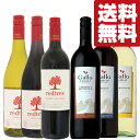 【送料無料・ワイン　セット】　果実味溢れるアメリカ産のデイリーワイン　赤・白ワイン飲み比べセット　750ml×6本(北海道・沖縄は送料+990円)