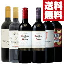 【送料無料・ワイン セット】コスパの良さ&バランスのとれた果実味たっぷりの飲みごたえ チリワイン飲み比べセット 750ml×6本(北海道・沖縄は送料+990円)