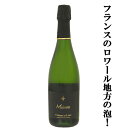 【フランスのロワール地方の泡！】　メゾン・P&F　クレマン・ド・ロワール ブリュット　泡白　750ml(1-S435)