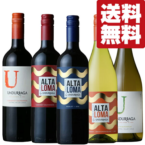 【送料無料・ワイン 飲み比べセット】コスパ最強!世界中から非常に評価の高いチリ産デイリーワインセット 750ml×5本(北海道・沖縄は送料+990円)