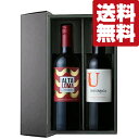 【送料無料・ワイン ギフトセット】 ブドウの果実味がしっかり楽しめる!コスパ最強チリ産赤ワイン 750ml×2本(豪華ギフト箱入り)(北海道・沖縄は送料+990...