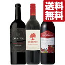 【送料無料・ワイン 飲み比べセット】 食事に合う!コスパが良くリピーターの多い定番のカベルネ赤ワインセット 750ml×3本セット(北海道・沖縄は送料+990円...