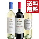 【送料無料・ワイン 飲み比べセット】 ワインのプロが選んだイタリア受賞ワイン!果実味が広がる味わい! 赤&白 750ml×3本(北海道・沖縄は送料+990円)