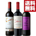 【送料無料・ワイン　飲み比べセット】　お酒のプロ厳選！ジューシーな味わいのコスパ最強赤ワイン　750ml×3本セット(北海道・沖縄は送料+990円)