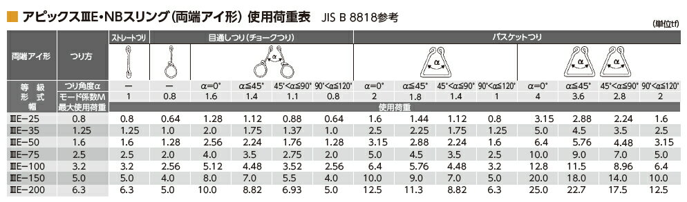 OH(オーエッチ工業)　吊具　ベルトスリング　3E-35-1.0　アピックスIIIE(両端アイ形)　最大使用荷重：1,250kg　長さ：1.0m　[受注生産品] 3