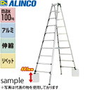 ALINCO(アルインコ)　伸縮式専用アル