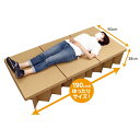 アーテック 51325 ATエコダンベッド 防災用品 非常時 段ボールベッド