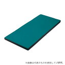 ナビス(アズワン) BL91 洗えるムレない体圧分散マットレス(二層一体構造)交換用カバー 1890×910×80mm ブルー(4)