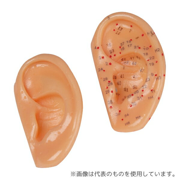 Erler-Zimmer 2064 �Ĥܥ�ǥ� ���Ĥ���