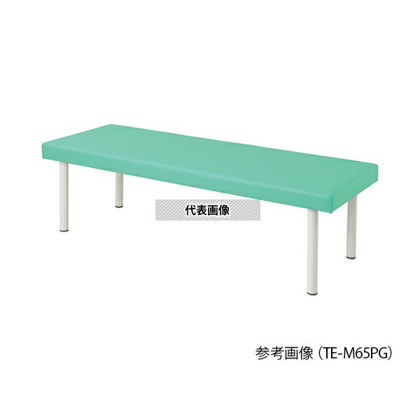ナビス(アズワン) TE-M60PG カラフル診察台 600×1800×550mm ライトグリーン