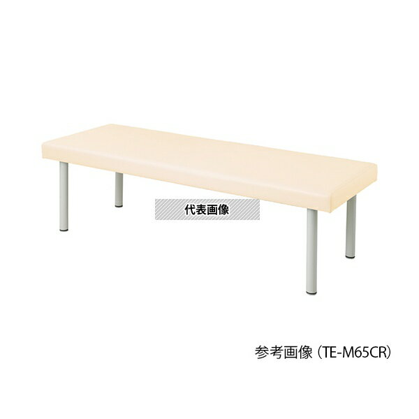 ナビス(アズワン) TE-L6519CR カラフル診察台 650×1900×500mm クリーム