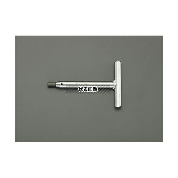  EA573EF-6 6.0x100mm [Hexagon]T