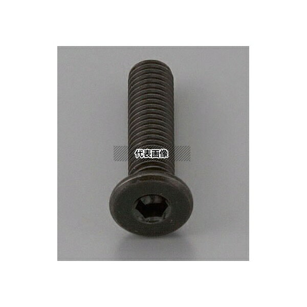 エスコ EA949MG-305A M3 x 5mm 六角穴付ボルト(超低頭/クロメート/4本)(4)