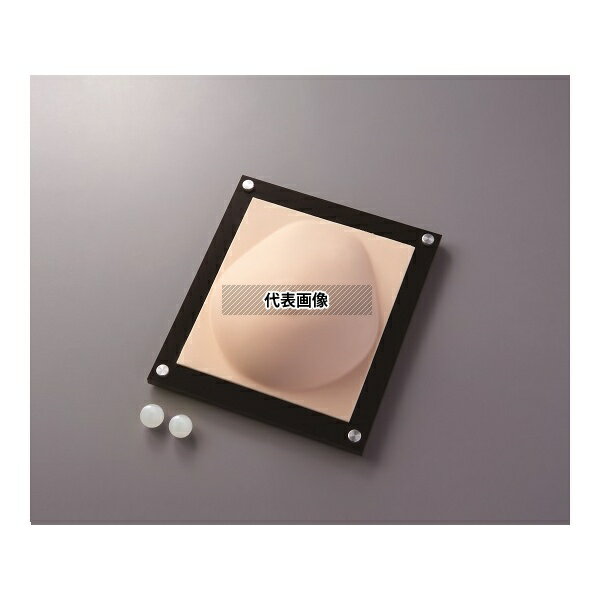 ナビス(アズワン) 訓練用モデル(ナビトレ) 乳がん触診モデル 腫瘍ボール付き