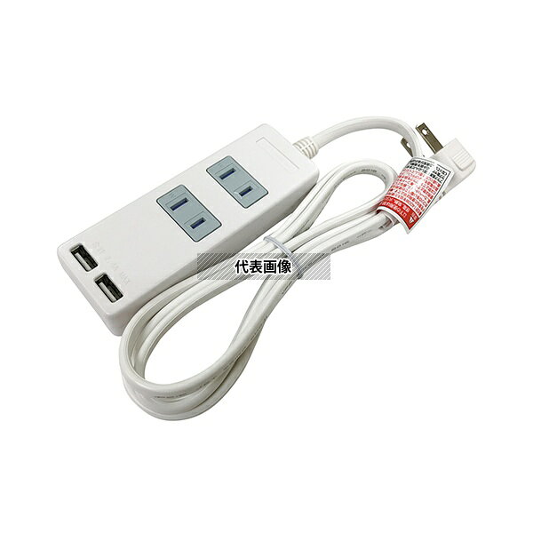 星光商事 SK-2T2USBW USB付タップ 2個口 込口防塵シャッター付