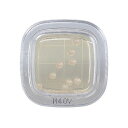 栄研化学 ぺたんチェック?DD M40Y寒天培地 1箱(20枚入) PD0021 1箱(20枚入)