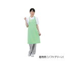 アズワン(AS ONE) 抗ウイルスエプロン Dr.Earth 首掛け ソフトグリーン E3500-2
