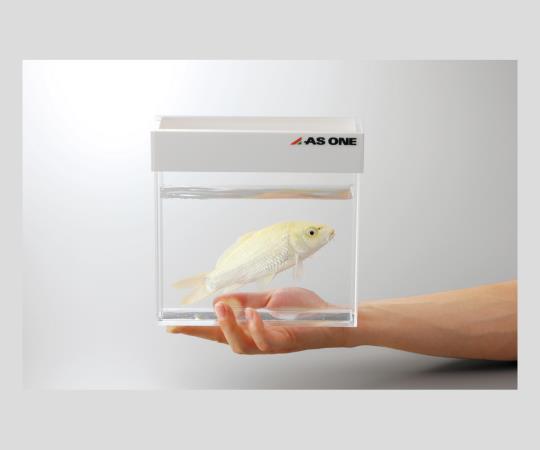 アズワン 観察用アクリル水槽平型(300×80) 1台 [2-724-02]