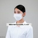 ナビス(アズワン) ナビガードマスク(個包装タイプ)1箱(1枚/袋×30袋入) KM-1WP 入数:1箱(1枚×30袋入)
