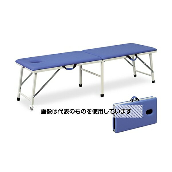 高田ベッド 有孔粉体ムーブ 幅50×長さ180×高さ55cm ライトブルー TB-1008U 入数：1個