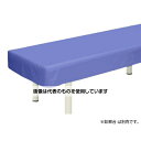 高田ベッド レザー製診察台カバー 幅60×長さ180cm ライトブルー TB-90 入数:1枚