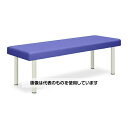 高田ベッド 外脚DXベッド 幅60×長さ180×高さ50cm ライトブルー TB-585 入数:1個