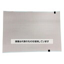 国際チャート 心電図記録紙 210mm巾×295mm折 全長100m 裏面カルテ有 MRC621-KC(カルテ) 1冊