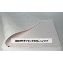 アズワン(AS ONE) 心電図記録紙 幅210mm×長60m/折300mm(折り畳み型・方眼線有) 5冊入 CP210-60Z-DM2 入数:1箱(5冊入)