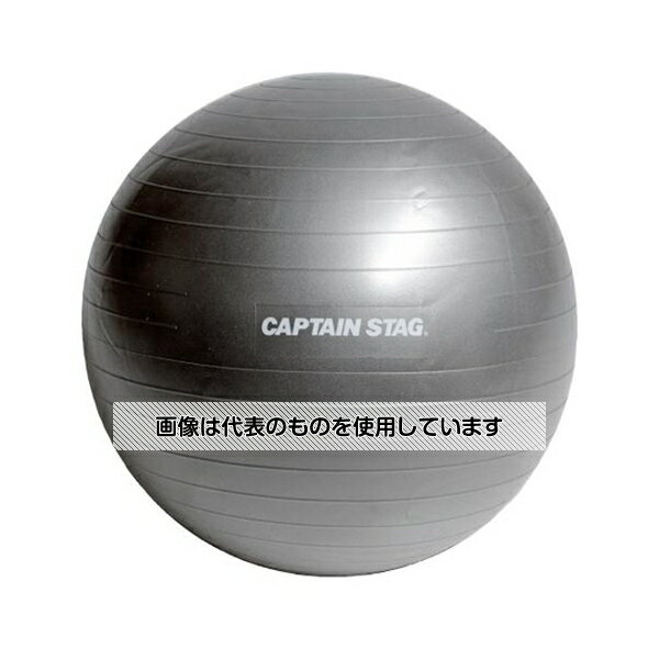 アズワン(AS ONE) φ65cm エクササイズボール EA763DK-1 入数：1個