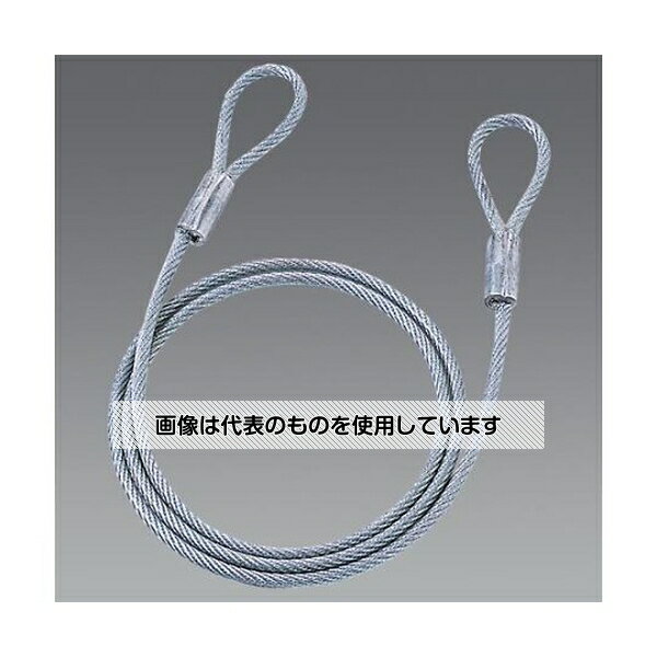 アズワン(AS ONE) φ6.0mmx1.5m セキュリティワイヤー(ビニールコート) EA983TS-286A 入数:1個