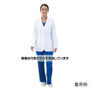 アズワン(AS ONE) THE WHITE COAT レディスブレザー白衣(ミニマリストシリーズ) M相当 5160-S 入数：1枚