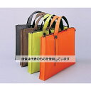 アズワン(AS ONE) 2wayキャリングバッグ(35mm/橙) A-7650-4 入数:1個