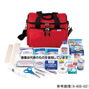 ナビス(アズワン) 救急バッグセット 予測式体温計 PTB 入数:1個