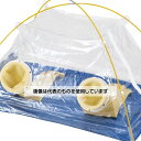 アズワン 簡易グローブボックス(ドーム型) TGB880 入数:1セット その1